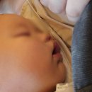 브니엘하우스 | 애견동반 가능한 분위기 좋은 이천파스타맛집 &#39;오스테리아브니엘&#39; 후기