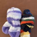 아마존 한증막 이미지