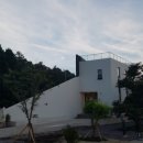 비안코 포레스트 이미지