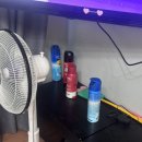 라신비 | 제주도 한림 애월 오션뷰 숙소, 라신비, 내돈내산 후기