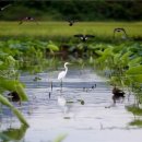 울산광역시야생동물구조관리센터 이미지