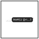 정혜지 티스토리