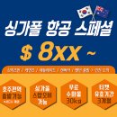 성원항공여행사
