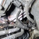 지성카센타 이미지