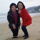 남쪽향기 이미지