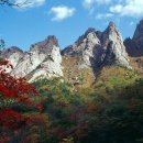 금강산 - 고령군 주산길 7 | 금강산