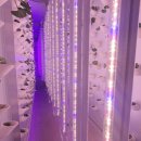 ㈜블루에너지 이미지