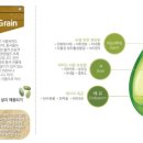 초록김밥 이미지