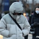 (주)포근해 머니투데이