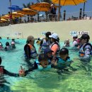 경주용강지역아동센터 이미지