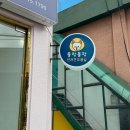 욜랑욜랑 | 마포애견미용실 욜랑욜랑에서 말티푸 배냇미용
