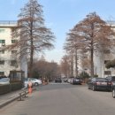 (주)코엑스노동조합 티스토리