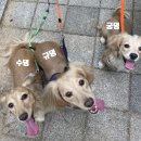 피트니스209 이미지