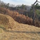 유복립 묘 이미지