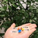 스타키보청기 구로센터 이미지