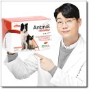 애보트래피드진단(주) | 안티놀래피드 240캡슐 강아지 고양이 관절 슬개골, 한 달 1만 원대로 평생 다리 지키는 방법