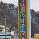 어서오시개냥 애견펜션 이미지