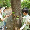 유아숲체험원(1) 이미지