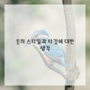 편안한 쇼핑 이미지