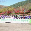 강촌하늘약국 이미지