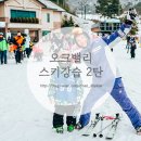 신나는 6세 오크밸리 스키강습 2탄 (feat 서기태 팀장님) 두번째도전 :)