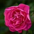 정관 구목정공원 이미지