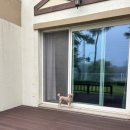 르꼼떼블루 | 평창 대관령 애견동반 숙소 <르꼼떼블루> ‘우프하우스’ 내돈내산 2박 후기