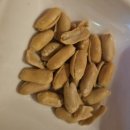 첨단중앙로182번길 | 광주 첨단 신상 룸소주방 추천 블루 룸 소주방 생일자 케이크, 과일안주 지원