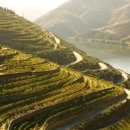 와인과 세계문화 이미지