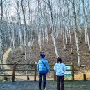 단지봉민박 이미지