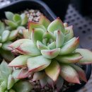 정남농장 이미지