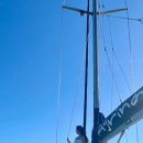 아그리나 B 이미지