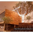 모차르트의밤 이미지