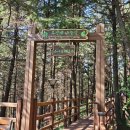 수봉공원 (유아숲체험원) 이미지