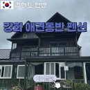 바이올렛 | [강화도 조용한 펜션] 바이올렛펜션 :: 족구장 수영장 있는 강화 펜션