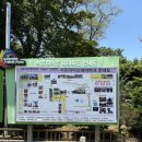 2243 | 제주 아이와 가볼만한 곳, 서프라이즈 테마파크 정크아트 솔직후기