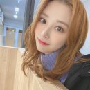 양이펀치 이미지