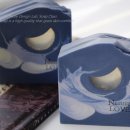 물결치는 달빛 (  이미지