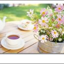 아름다운기억 이미지