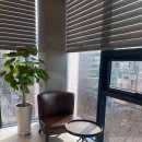 양지바른치과의원 이미지