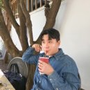 라이프트리