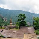 신라패션세탁 이미지