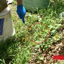 세모안경 이미지