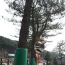 북한강 자전거도로1 이미지