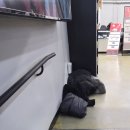 나의 콘서트 동전 노래연습장 | [공연 후기] Yes24 라이브홀 소란 콘서트 후기/ 물품보관함, 1층 예사홀 스탠딩 시야