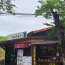 마이산 카페 토박이 이미지