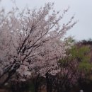 서창101수작부리는카페 이미지