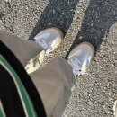 밥먹고가유 | NOV,2025 🍂 11월 안녕, 벌써부터 크리스마스트리 찾아즐기는 먹고노는 일상