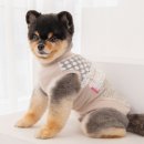 우아하개 이미지