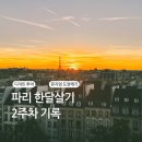 파리 한달살기 2주차 - 퐁텐블로, 뮤지엄 3개, 디저트 투어, 메르시, 재즈바